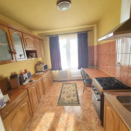 Apartment Maria Sovata