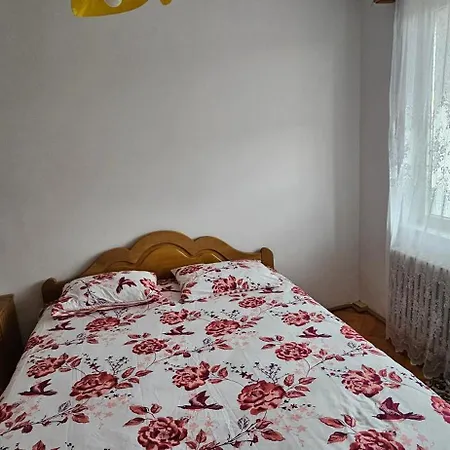 Apartment Maria Sovata